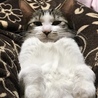 すごい顔笑笑