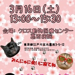 ふくねこや 第4８回　保護ねこ里親会