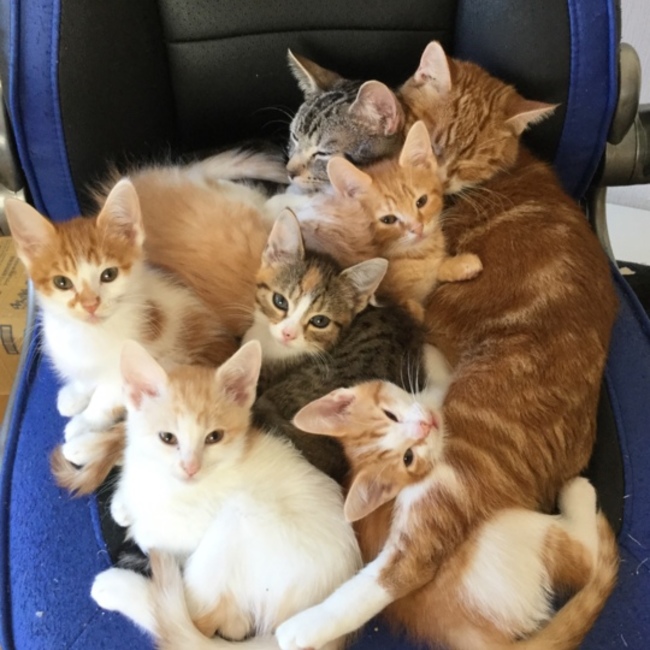 まっきー0512のカバー写真