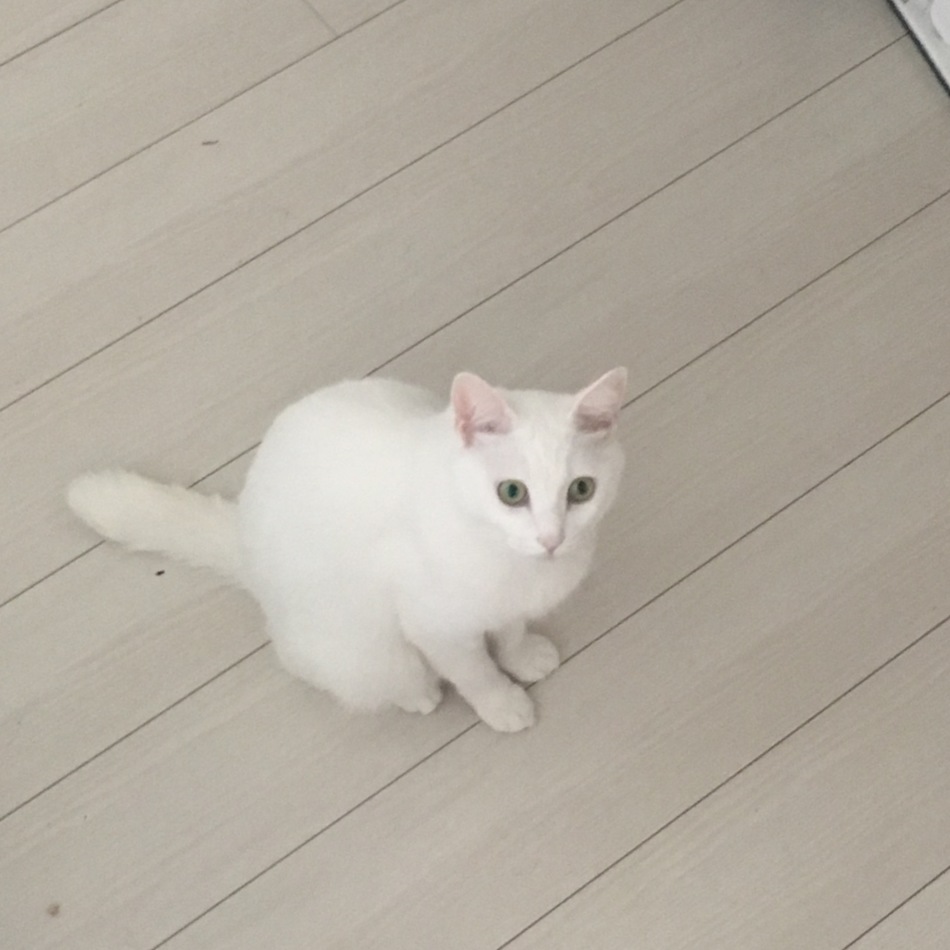 しひろのカバー写真