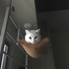 ベランダで休憩