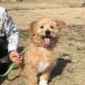 素敵な家族と巡り会えました。ありがとうございます。