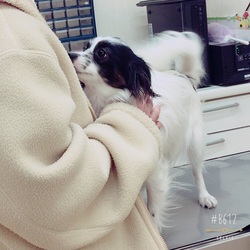 ルナに赤ちゃんが☺️