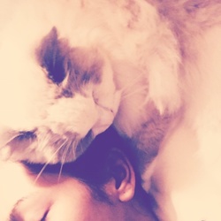 「11ヶ月幸せを頂きました」サムネイル2