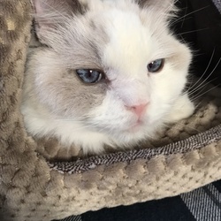 「11ヶ月幸せを頂きました」サムネイル3