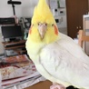 正面顔。なんか好き。