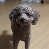 まる。
