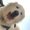 ばでぃ さん