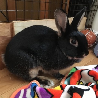 ありがとうございました！