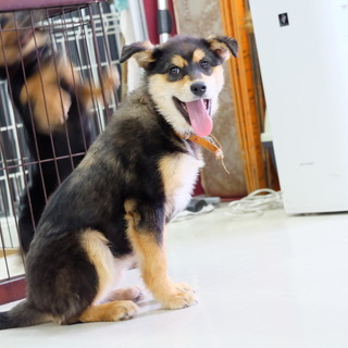 現在交渉中につき募集停止中です