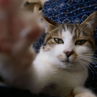 元気いっぱい　宗春くん