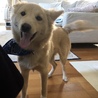 の写真