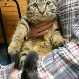 【トラピコ】おかげ様で里親様がきまりました！
