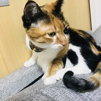 ぽんず