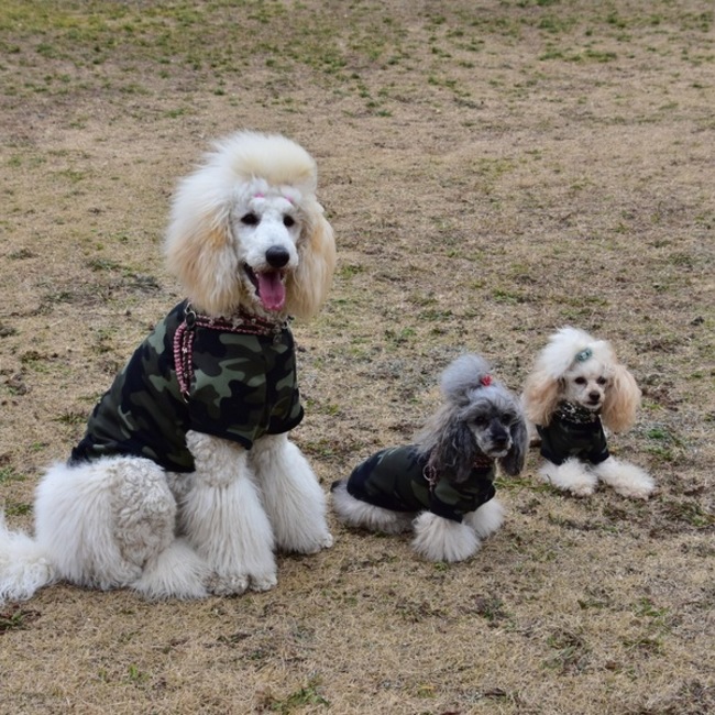 arenGIZEママのカバー写真