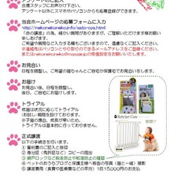 ねこ譲渡会（武田ミシン2階） サムネイル2