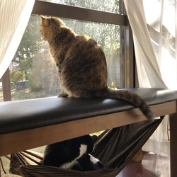 「びっくりした・・・」サムネイル1