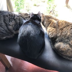 「びっくりした・・・」サムネイル2