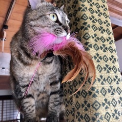 「びっくりした・・・」サムネイル3