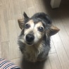サカケンケン