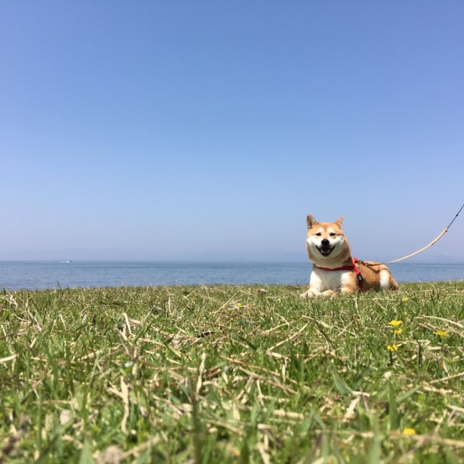 masashi881のカバー写真