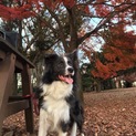 話し合い中のため新しいご応募をストップしてます。