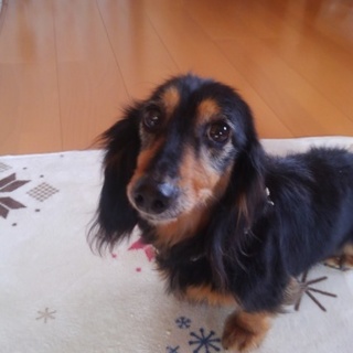 お話中のため募集停止します