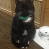 とびまる