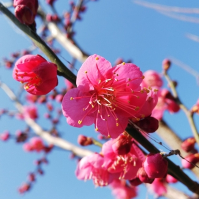 愛守～aisu～のカバー写真