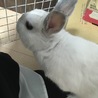のんちゃんてっちゃん