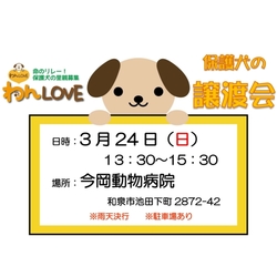 譲渡会 in 今岡動物病院(和泉市) サムネイル1