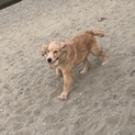 交渉中の為一時募集停止します