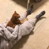 座ってテレビを見てます(^^)