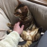 の写真