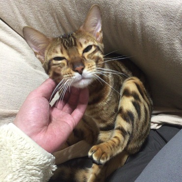 ランプの写真