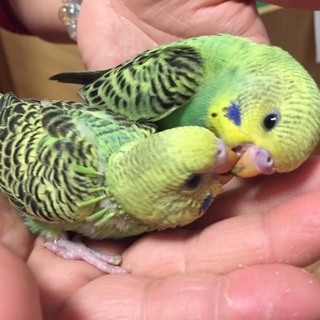 ☆里親様 決定致しました☆