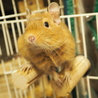 の写真