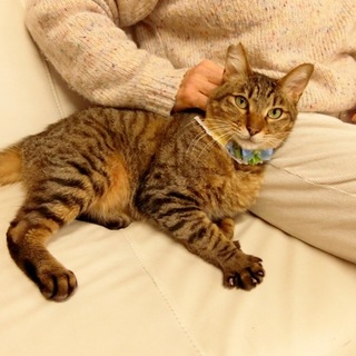 思う存分甘えたい！人なつっこいクミン（動画あり）