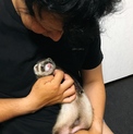 応募が多い為、募集を一時中断します。