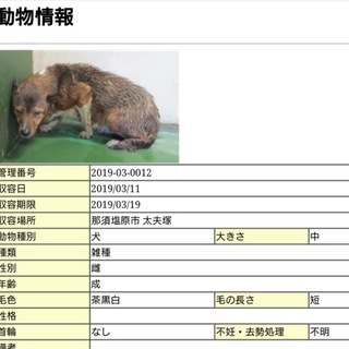 優しい里親さんとめぐりあえました！