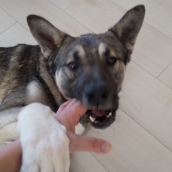 一時預かりしてみませんか？