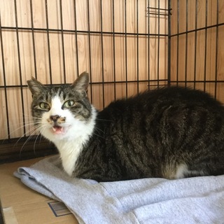 ありがとうございました