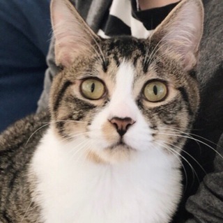 3/24田原町★太郎くん★甘えん坊お兄ちゃん