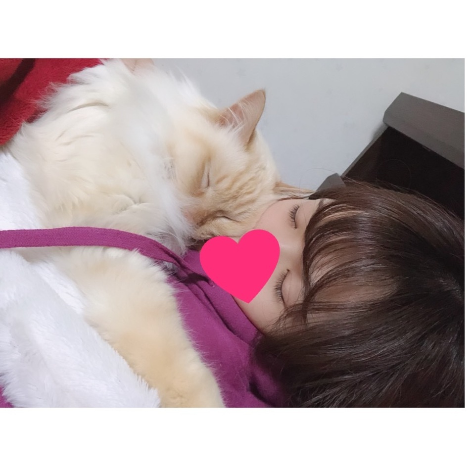 アルジのカバー写真