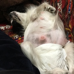 赤ちゃん 動いてる☺️