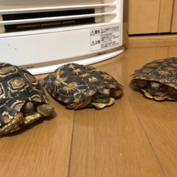 東京 BLACK OUTからお迎え