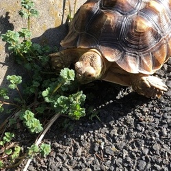 お迎えしました。