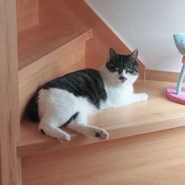 俺の特等席パート1