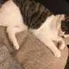 俺の特等席パート2
