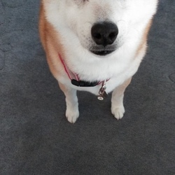 やっとこさ……(^o^;)